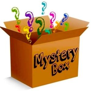 3 Purse Mystery Box
